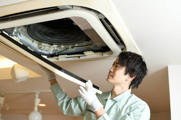 Best Affordable Duct Cleaning Services  in Roscoe, IL