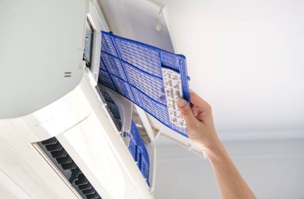 Best Home Air Vent Cleaning  in Roscoe, IL