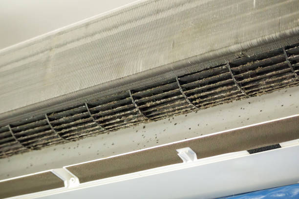 Best Air Duct Sanitizing Services  in Roscoe, IL